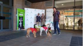 huellasysonrisas_quironsaludmalaga_perros_