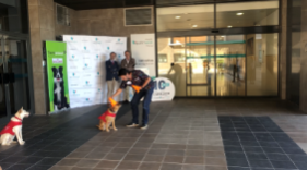 huellas ysonrisas_quironsaludmalaga_actividadperros