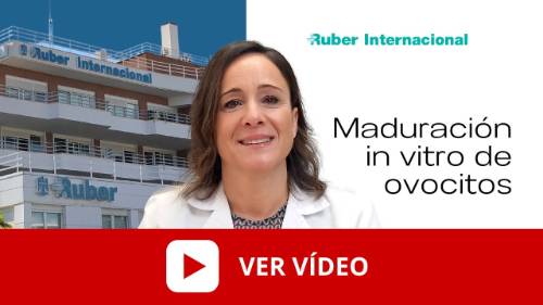 Vídeo Maduración in vitro de ovocitos. Este enlace se abrirá en una ventana nueva