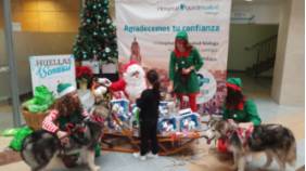 visita_papá_noel_2