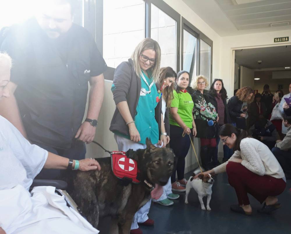 visita_perros_hospital_quironsalud_2