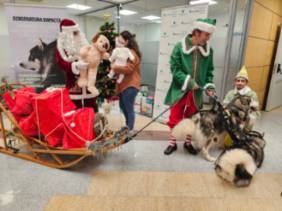 VISITA PAPA NOEL 2023 3