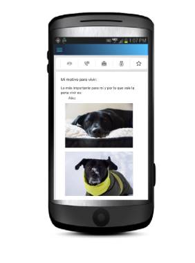 2024 07 10 Captura de pantalla del plan de seguridad digital en el que consiste el proyecto becado