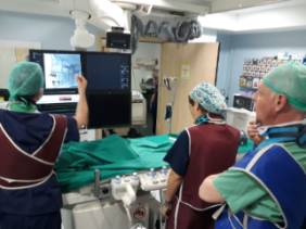 I Workshop Unidad del Dolor