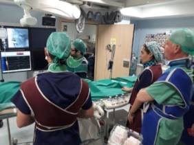 I Workshop Unidad del Dolor