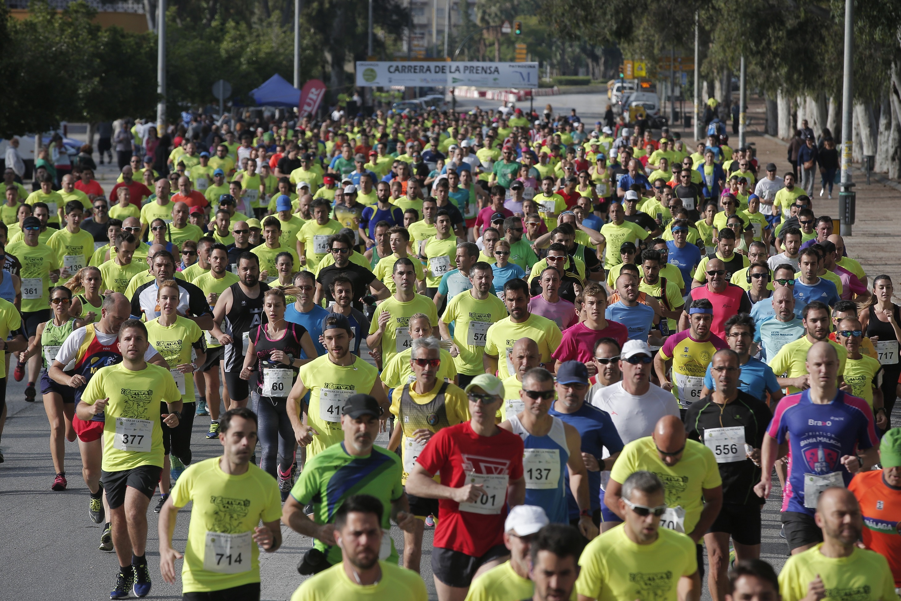 Imagen de la edición anterior