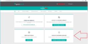 consulta telefonónica inmediata portal paciente ejemplo