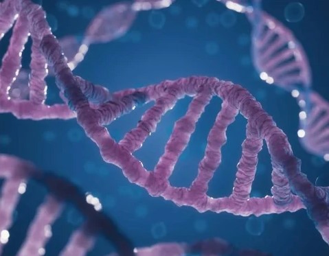 antienvejeciemiento-genetica-estetica-quironsalud-ortomolecular-marbella