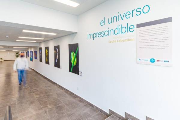 220125 QS Tenerife acoge la expo El universo imprescindible (6)