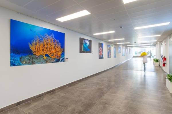 220125 QS Tenerife acoge la expo El universo imprescindible (2)