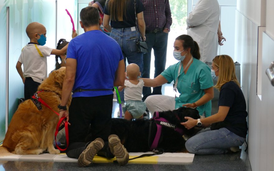 terapia con perro cortada