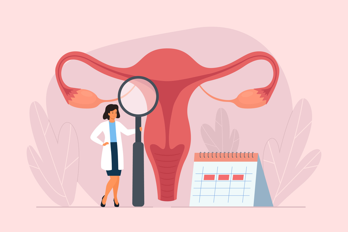 ciclo menstrual