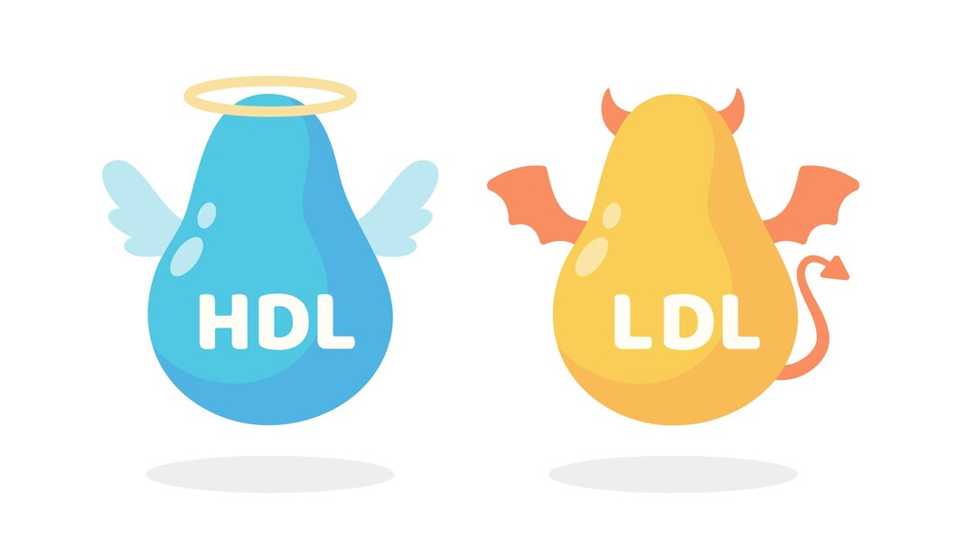 caricatura-colesterol-hdl-ldl-grasa-buena-grasa-mala-acumulada-cuerpo_68708-3282