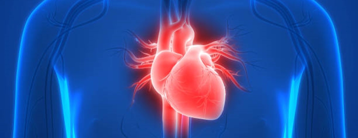 salud-cardiovascular-el-pilar