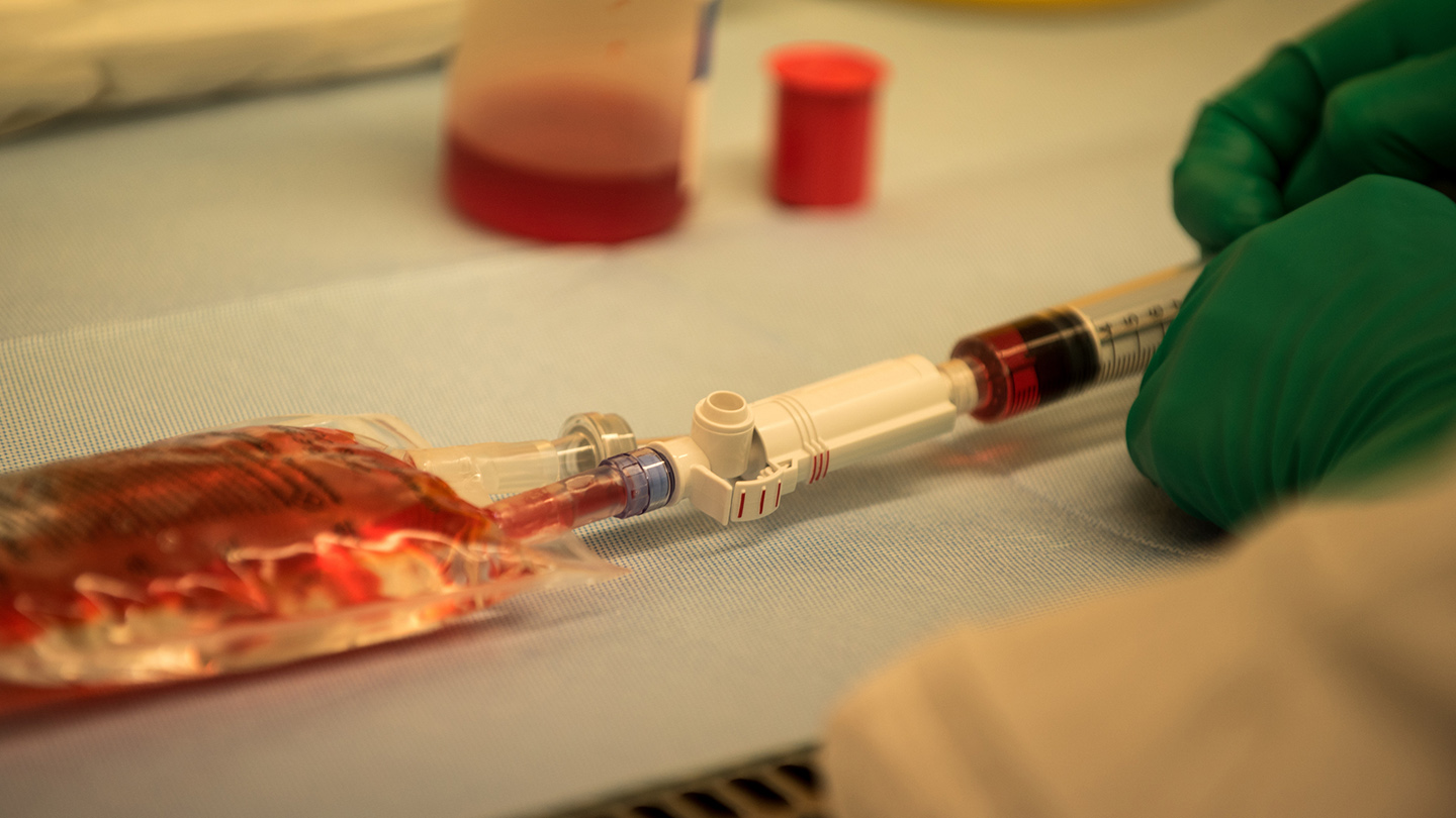 oncohematología web1