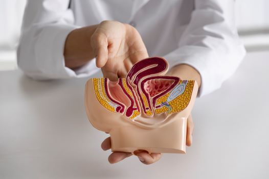 high-angle-doctor-explaining-anatomyok