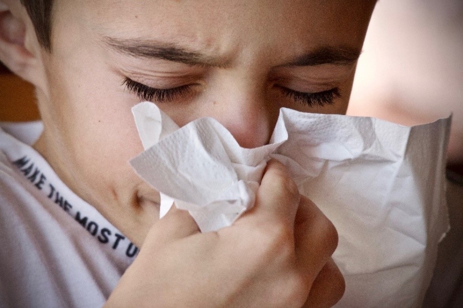 Resfriado, Bronquitis y Bronquiolitis