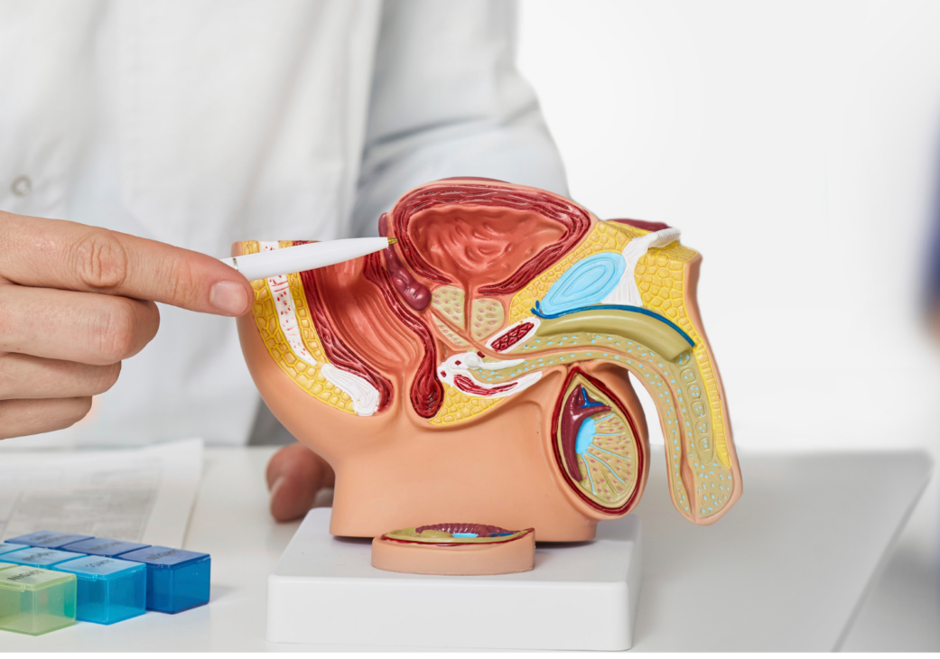 Prostata-1