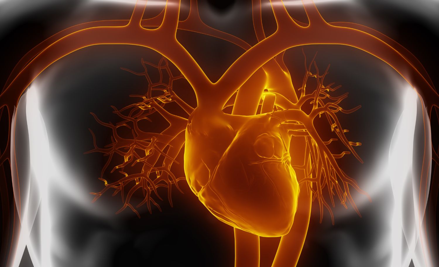 Riesgo cardiovascular