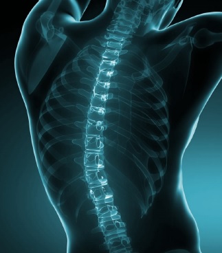 jornada lumbar