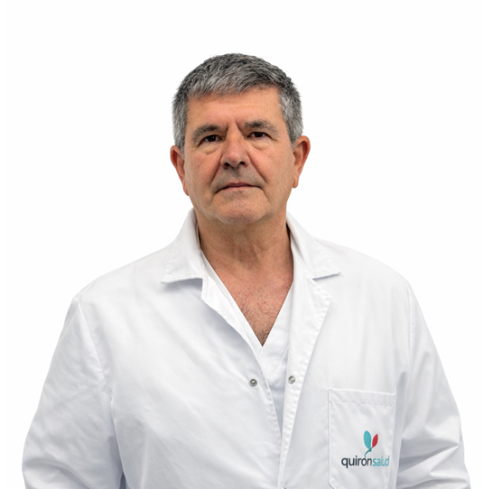 FRANCESC AMOROS BAUXALI