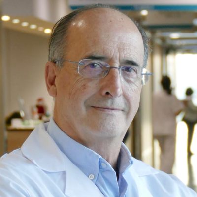 Javier Goicolea Ruigomez