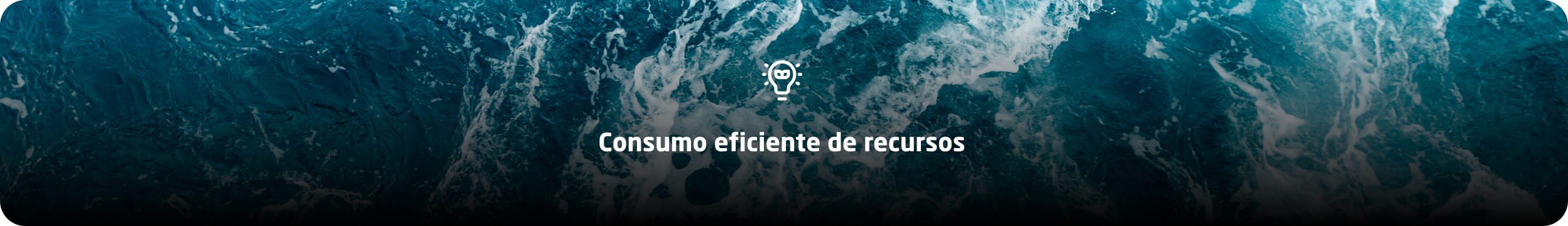 QS_grupo_consumo_web