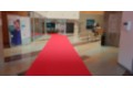 Festivas_Cine_Málaga_Quirónsalud 3
