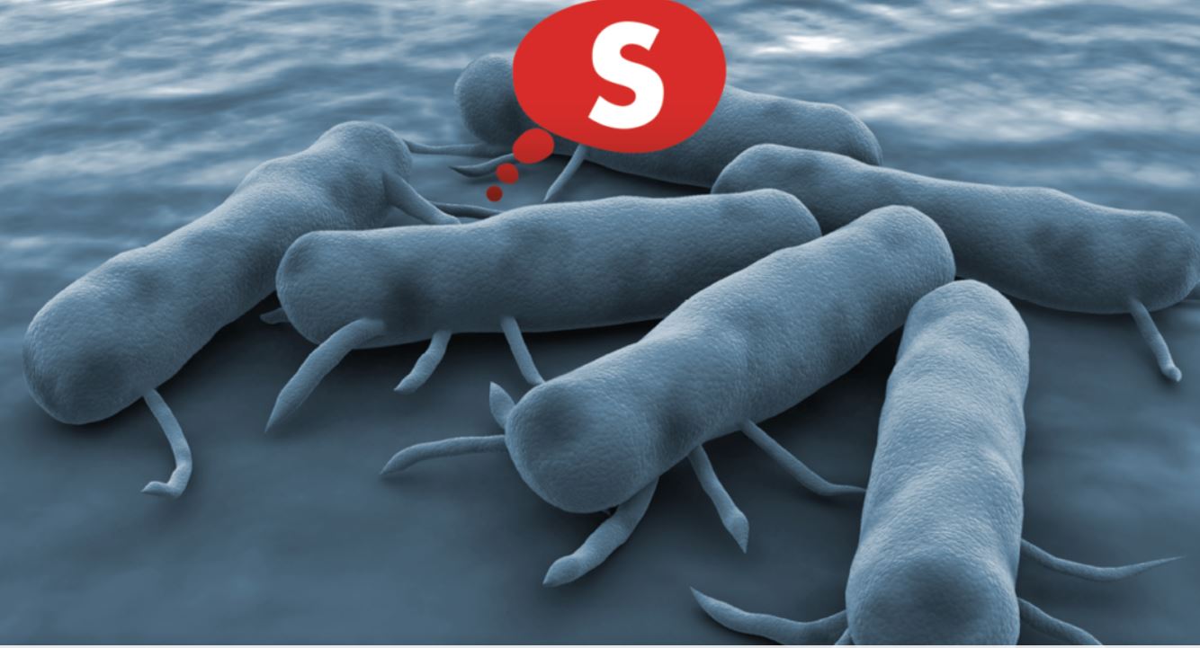 Piensa en SEPSIS