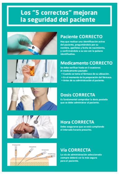 Los 5 correctos