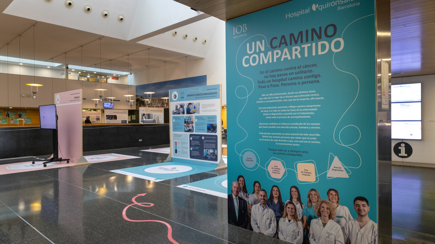 exposicion un camino compartido