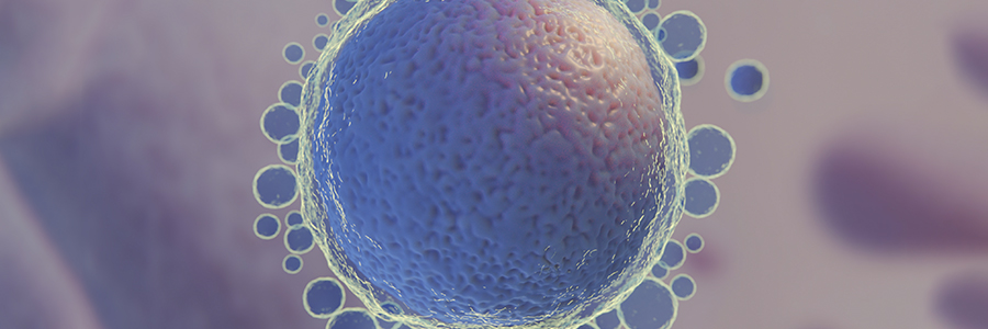 Estudio fertilidad Barcelona