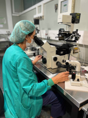 madres embarazadas por ovodonación influyen en el código genético de sus futuros hijos (1)