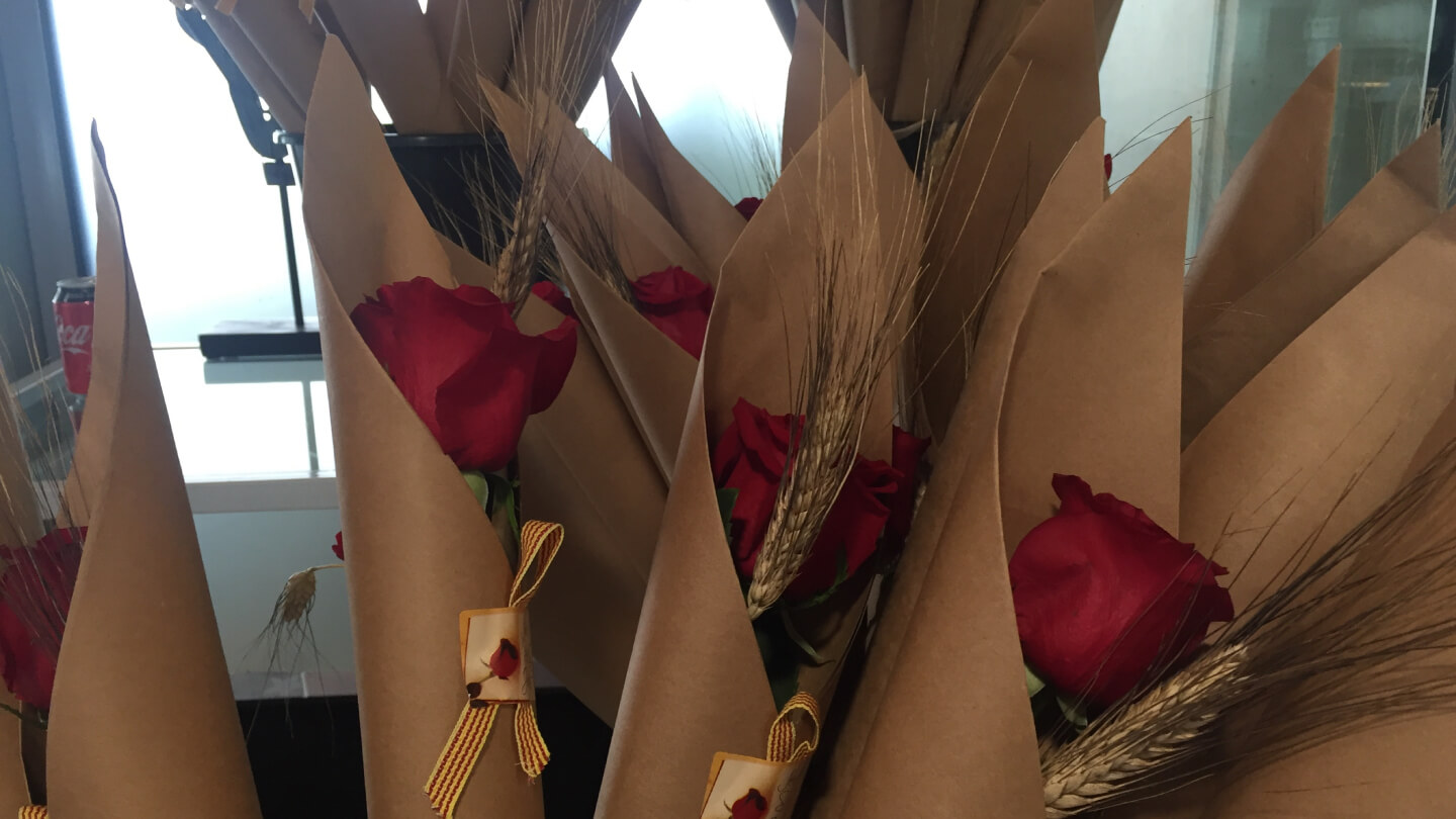 Roses sant jordi