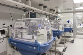 UCI de neonatos