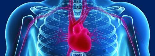 cardioweb_0