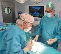 Villarejo cirugía columna