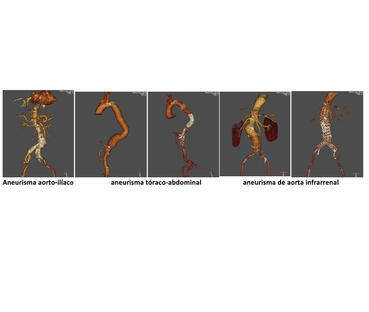 Captura de pantalla 2026-01-21 a las 8.43.11