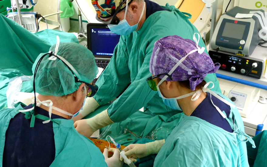 tratamiento_varices