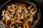 Hongos comestibles
