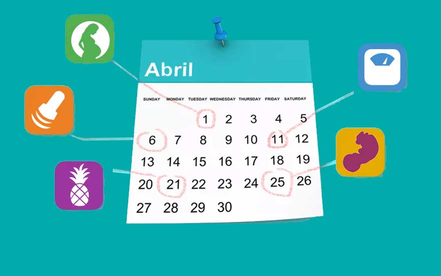 calendario