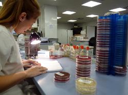 nefro_lab_madrid