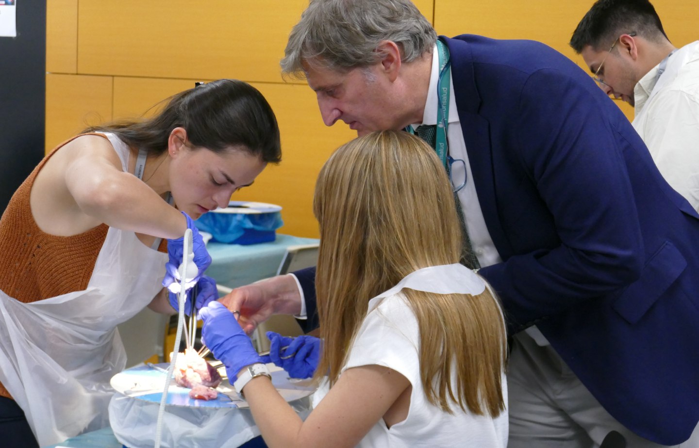 Curso de reparacion valvular aórtica1