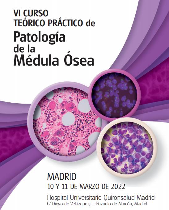 VI Curso Teórico practico de medula ósea