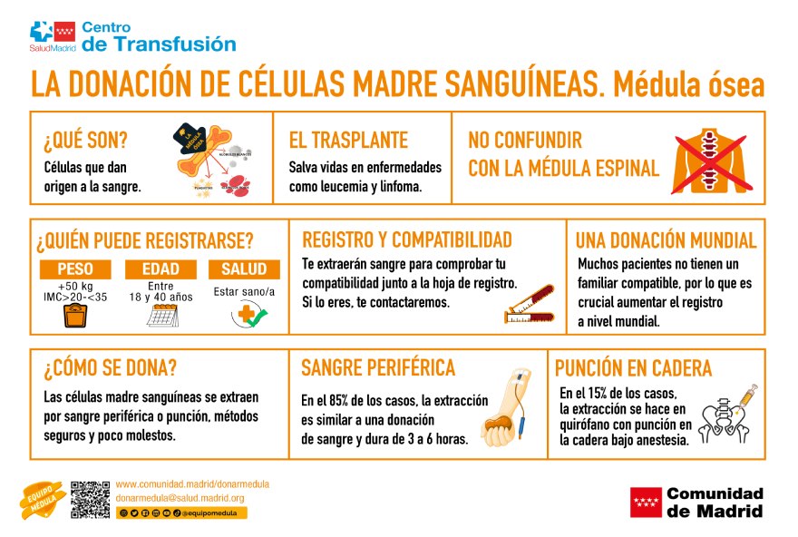 donación de sangre de médula ósea
