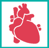 paciente cardiologico. Este enlace se abrirá en una ventana nueva
