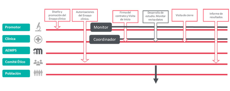 fases_ensayo_clinico