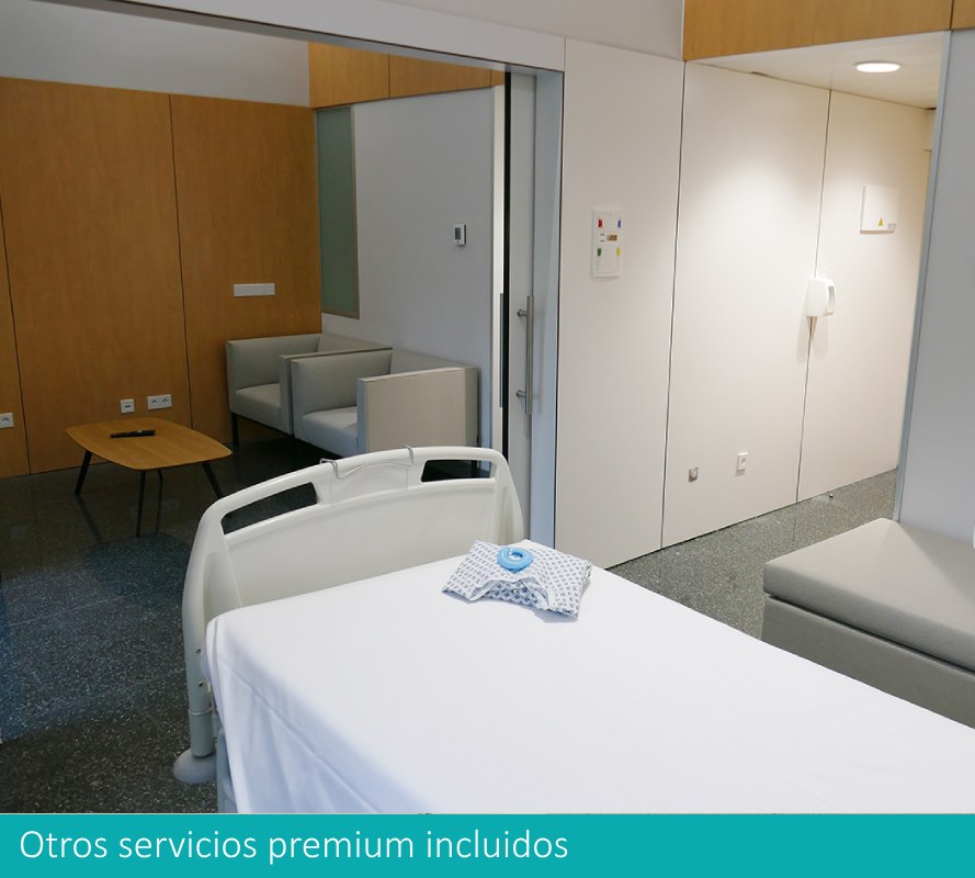 otros servicios premium incluidos. Este enlace se abrirá en una ventana nueva