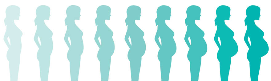 evolucion_perfil _gestante