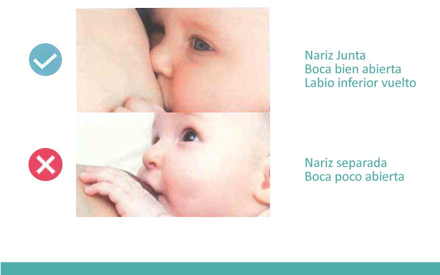 como-es-un-buen-agarre